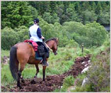 Ireland-Sligo/Donegal-Riding by the Sea